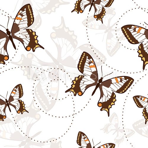Seamless pattern with butterflies  Motyle Fototapeta