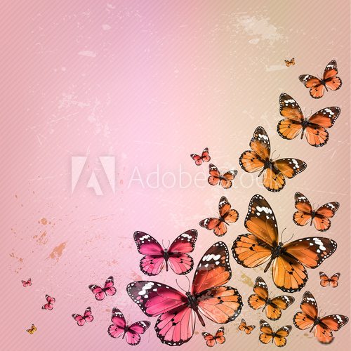 Colorful vintage summer background with butterfly. Grunge paper  Motyle Fototapeta
