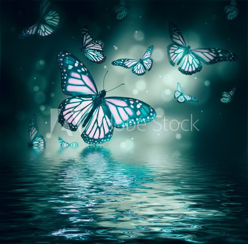 Flight of butterflies is in the rays of light  Motyle Fototapeta