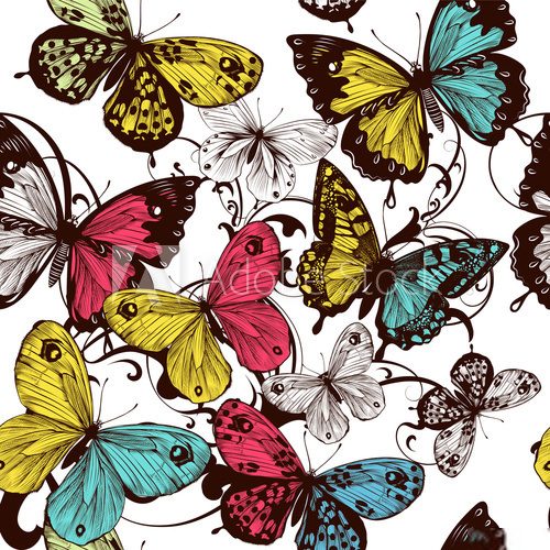 Vector seamless wallpaper with colorful butterflies  Motyle Fototapeta