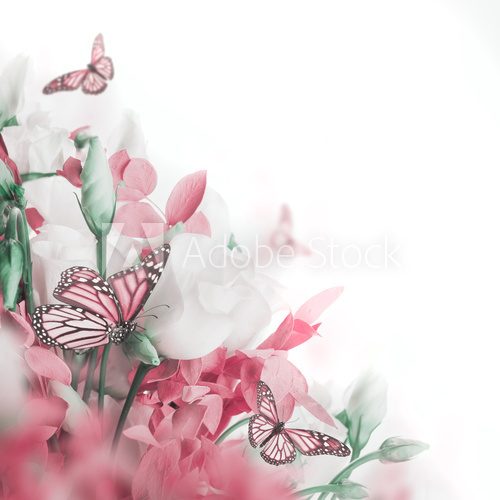 Bouquet of white and pink roses, butterfly. Floral background.  Motyle Fototapeta