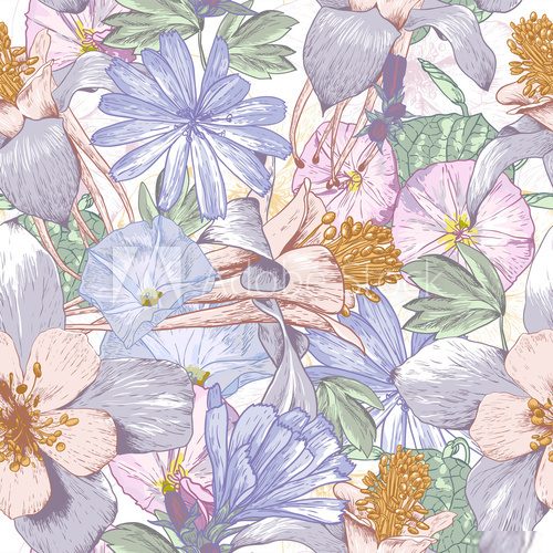 Summer seamless pattern with wildflowers.  Rysunki kwiatów Fototapeta