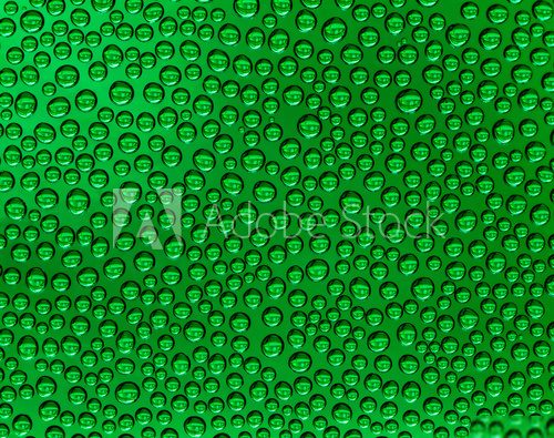 W zielonym mi do... ściany Fototapety do Łazienki Fototapeta