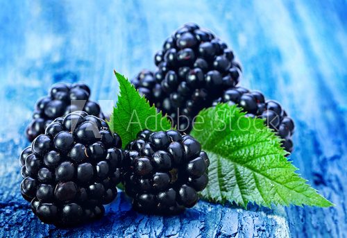 Blackberry fruit with leaf  Plakaty do kuchni Plakat