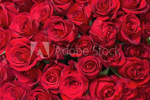 Colorful flower bouquet from red roses for use as background.  Plakaty do Sypialni Plakat