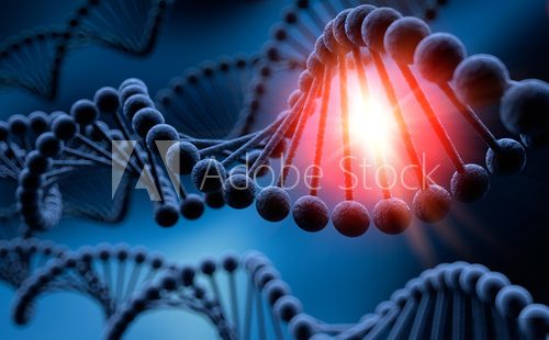 DNA-Experiment  Plakaty do Biura Plakat