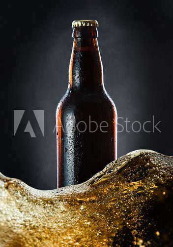 frozen  beer bottle  Obrazy do Kuchni  Obraz