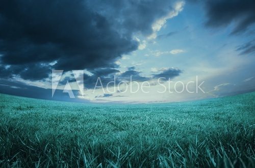 Blue sky over green field  Tekstury Fototapeta