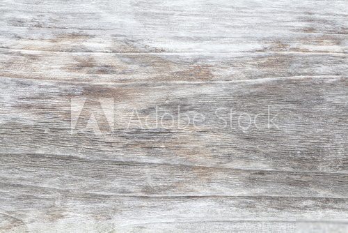 Close - up Texture of wood  Tekstury Fototapeta