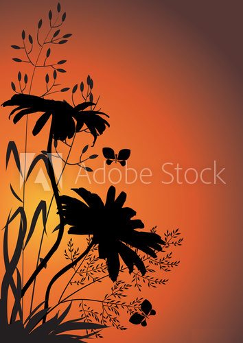 Silhouettes of flowers and herbs against the evening sky  Na drzwi Naklejka