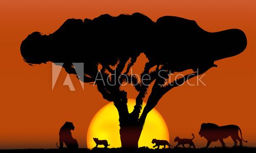 lions family  Afryka Fototapeta