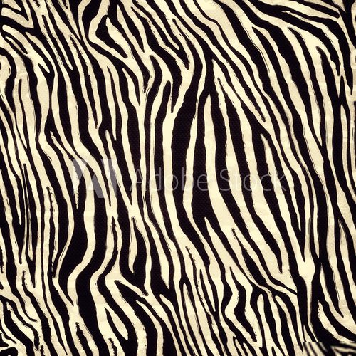 Zebra pattern  Afryka Fototapeta