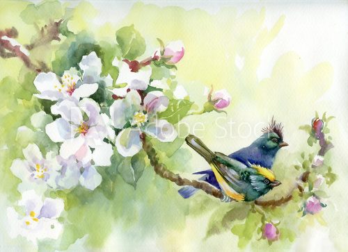 Painting collection Birds of spring  Obrazy do Sypialni Obraz