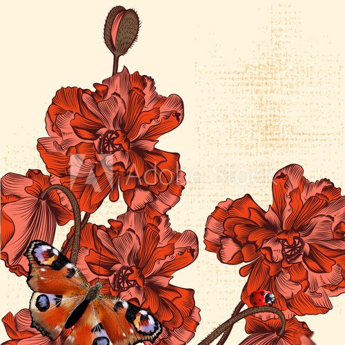 Grunge  background with hand drawn poppy flowers and butterfly  Obrazy do Sypialni Obraz
