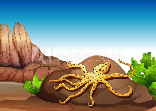 An octopus at the rock  Obrazy do Pokoju Dziecka Obraz