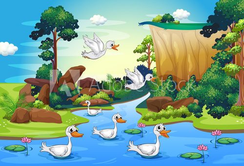 A group of ducks at the river in the forest  Obrazy do Pokoju Dziecka Obraz
