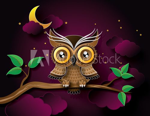 vector of owl and moon.  Obrazy do Pokoju Dziecka Obraz