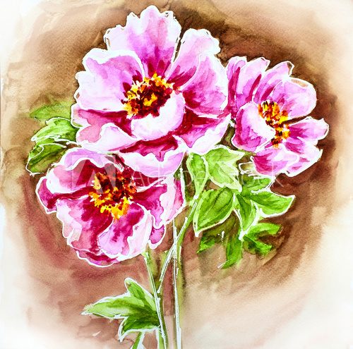 Painted watercolor card with peony flowers  Olejne Obraz