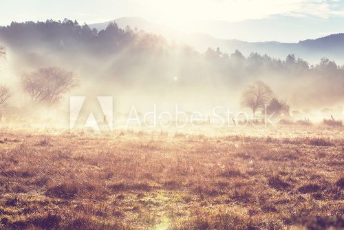 Fog on meadow  Krajobraz Fototapeta