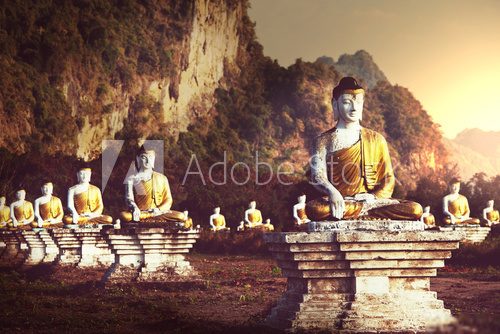 Buddhas garden  Krajobraz Fototapeta