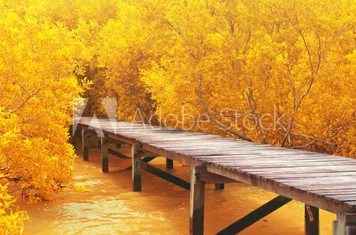 Mostem daleką, jesienną porą Krajobraz Fototapeta