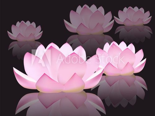 Wektorowe kwiaty lotosu.  Orientalne Fototapeta