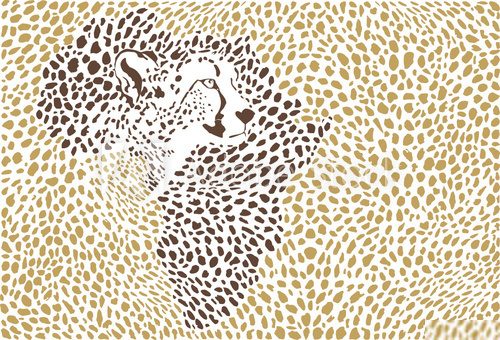 Background of the African cheetah  Afryka Fototapeta