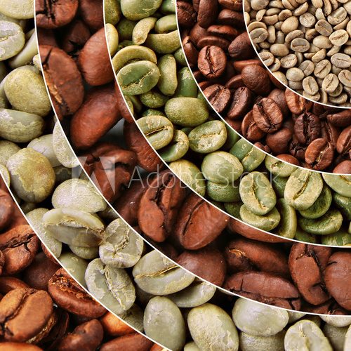 Collage of different coffee beans  Kawa Fototapeta
