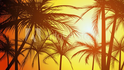 Horizontal illustration silhouettes of palms.  Zachód Słońca Fototapeta