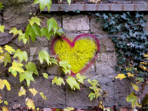 Herz und BlÃ¤tter  Fototapety Graffiti Fototapeta