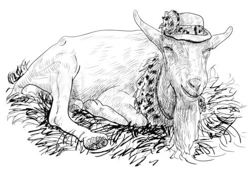 The goat on haystack  Drawn Sketch Fototapeta