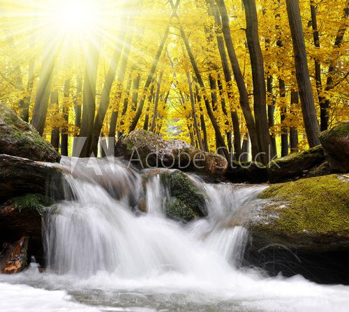 Autumnal forest with waterfall in Czech Republic  Fototapety Wodospad Fototapeta