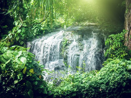waterfall in jungles of Seychelles, Mahe island  Fototapety Wodospad Fototapeta