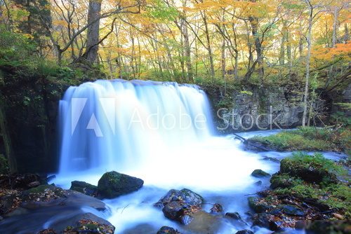 Autumn Colors of Oirase Stream, Cyoushiootaki  Fototapety Wodospad Fototapeta