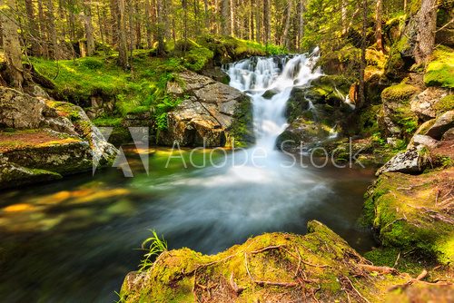 Beautiful cascade waterfall in the forest,Retezat,Romania  Fototapety Wodospad Fototapeta