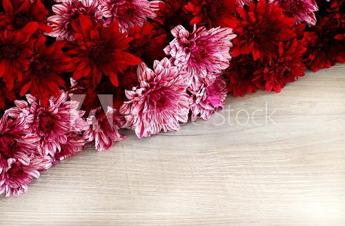 cornice floreale  Kwiaty Plakat