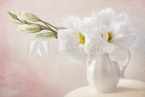 White flowers  Kwiaty Plakat