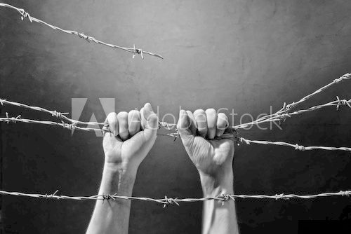 hand behind barbed wire  Ludzie Plakat