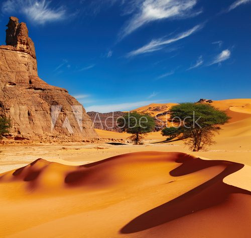 Sahara Desert, Algeria  Pejzaże Plakat