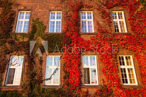 Windows of Wawel Castle (autumn) in Krakow, Poland.  Architektura Plakat