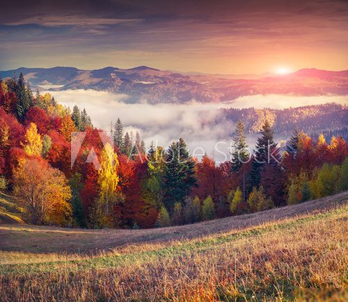 Colorful autumn sunrise in the mountains.  Plakaty do Sypialni Plakat