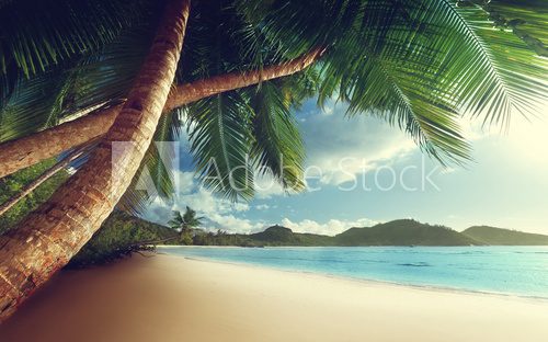 sunset on beach, Mahe island, seychelles  Plakaty do Sypialni Plakat