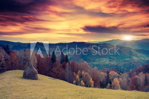 autumn sunset  Plakaty do Sypialni Plakat