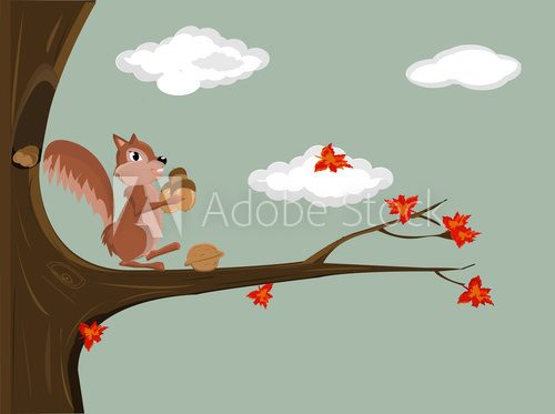 Vector illustration of a squirrel  Fototapety do Pokoju Chłopca Fototapeta