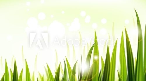 green grass vector design  Trawy Fototapeta