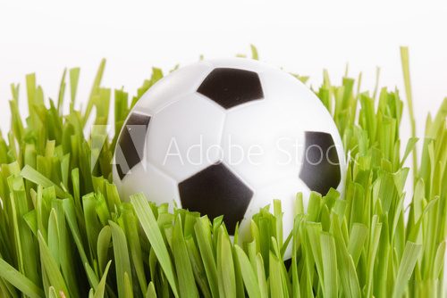 football on grass..  Stadion Fototapeta