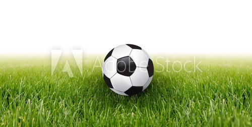 soccer ball and green grass  Stadion Fototapeta