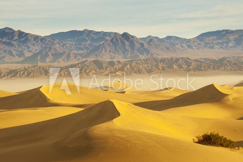 Desert Sand Dunes  Afryka Fototapeta