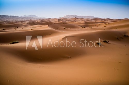 beautiful sand dunes in the Sahara near Merzouga, Erg Chebbi, Mo  Afryka Fototapeta