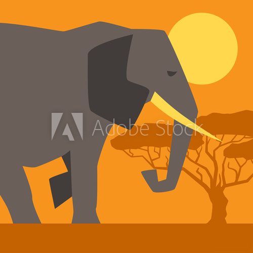 African ethnic background with illustration of elephant.  Afryka Fototapeta